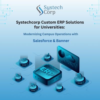 Custom ERP Solutions